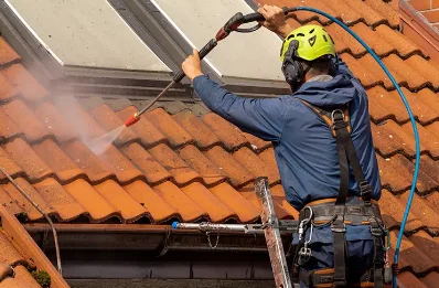 Démoussage et hydrofuge de toiture à Monterblanc